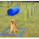 CONJUNTO SALTOS AGILITY PARA PERROS CON TUNEL AZUL