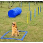 CONJUNTO SALTOS AGILITY PARA PERROS CON TUNEL AZUL