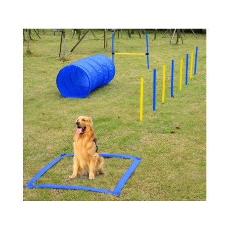 CONJUNTO SALTOS AGILITY PARA PERROS CON TUNEL AZUL