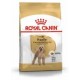 ROYAL CANIN CANICHE ADULT