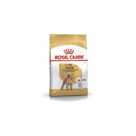 ROYAL CANIN CANICHE ADULTO