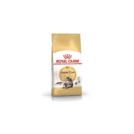 ROYAL CANIN MAINE COON