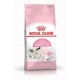 ROYAL CANIN MOTHER & BABYCAT