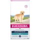 EUKANUBA GOLDEN RETRIEVER