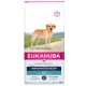 EUKANUBA LABRADOR RETRIEVER 12 kg