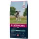 EUKANUBA ADULT SALMÓ CIVADA RAÇA GRAN