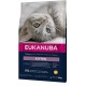 EUKANUBA GATOS CACHORROS