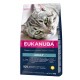 EUKANUBA CAT TOP CONDITION 1+