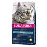 EUKANUBA CAT TOP CONDITION 1+
